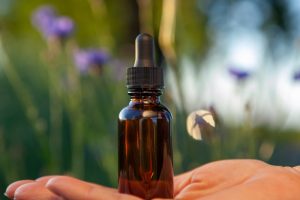 פרחי באך לשיפור הריכוז – מגע של טבע לשיפור הקשב והריכוז